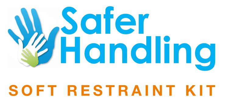 Health and Safer Handling : 